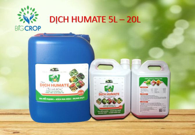 Big Crop - Thông báo thay đổi mẫu sản phẩm Dịch Humate 5L - 20L